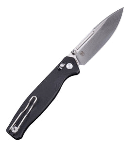 Real Steel Huginn Compact G10