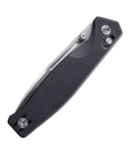 Real Steel Huginn Compact G10